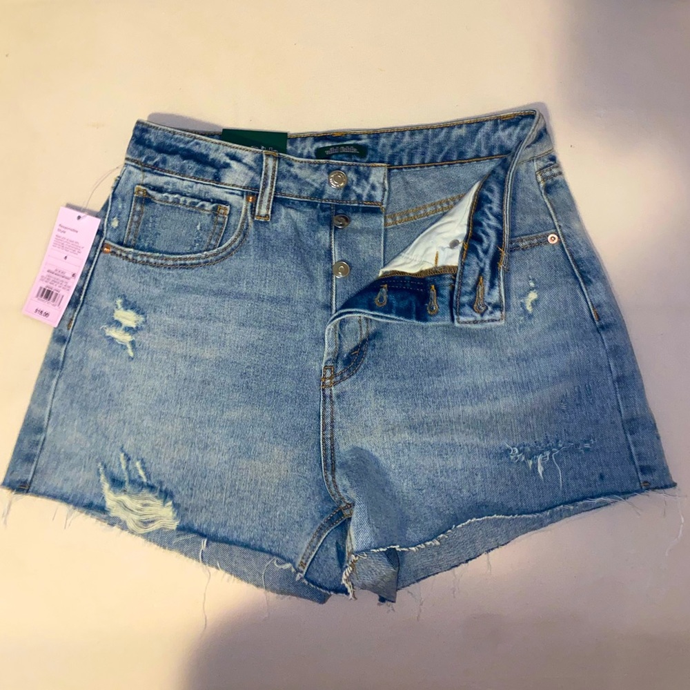 Wild Fable Distressed Shorts